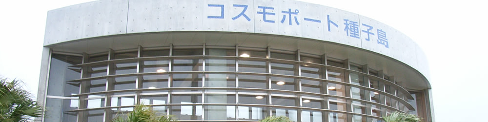種子島空港 全就航1路線